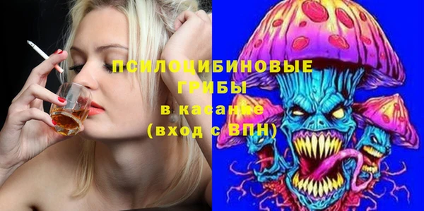 spice Алзамай