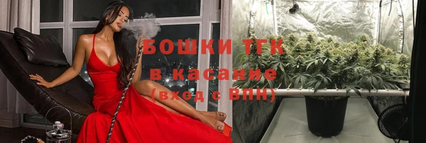 spice Алзамай